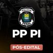 PP PI